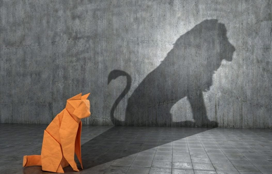 品牌与市场营销