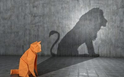 品牌与市场营销